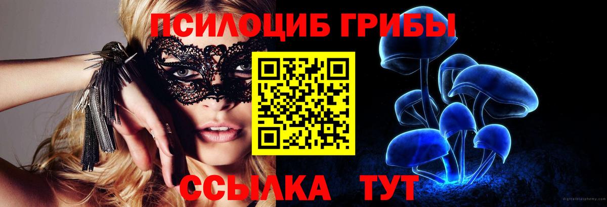 Псилоцибиновые грибы Psilocybine cubensis  Псилоцибиновые грибы мухоморы  купить  цена  Вход с VPN  Дубна 