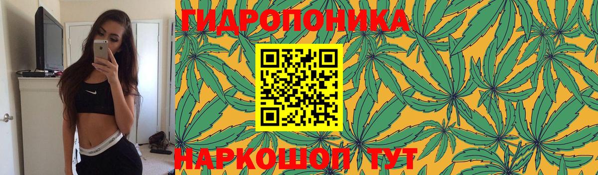 Канабис Ganja Дубна